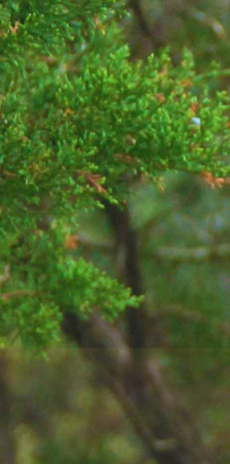 Austin Fine Art Gallery